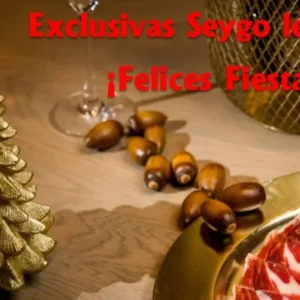 DESDE EXCLUSIVAS SEYGO QUEREMOS DESEAR A TODOS LOS QUE FORMAIS PARTE DE ESTA GRAN FAMILIA, UNA FELIZ NAVIDAD, LLENA DE ILUSION.